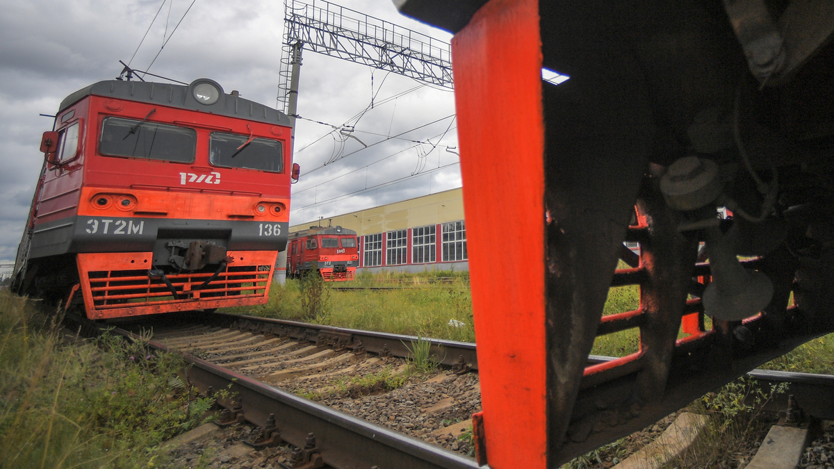 Фото: Евгений Одиноков / РИА Новости
