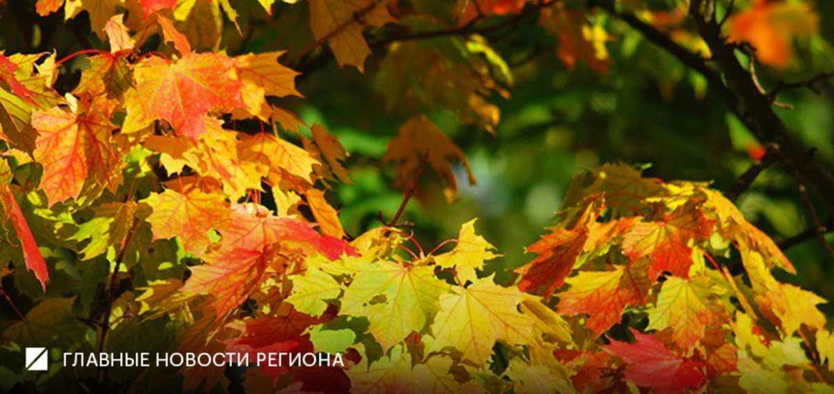 Фото: Роман Родионов