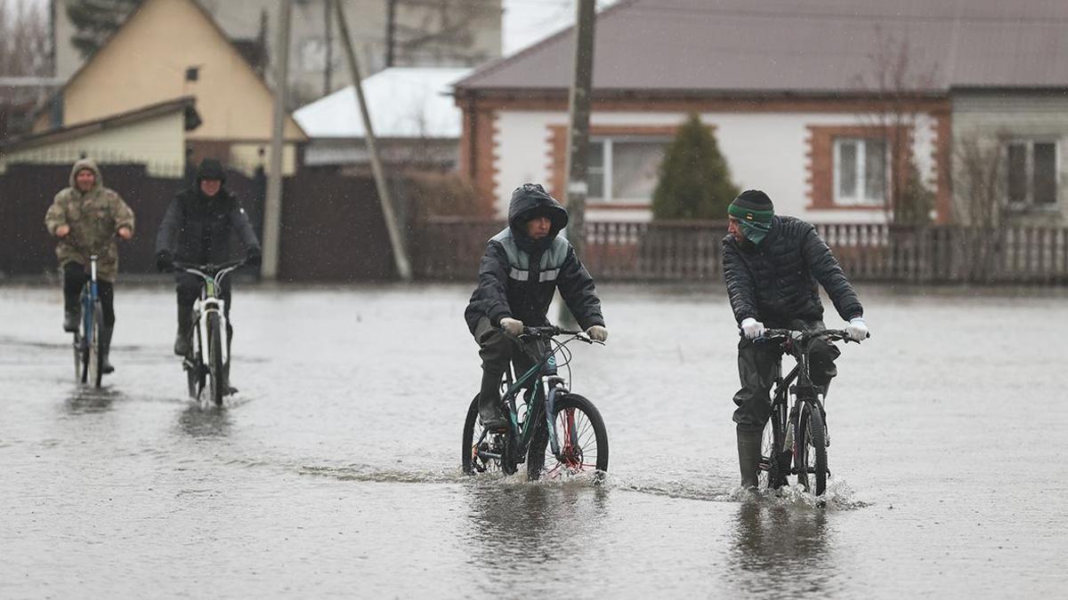 Уровень воды в Тоболе в Кургане достиг 830 см — РБК