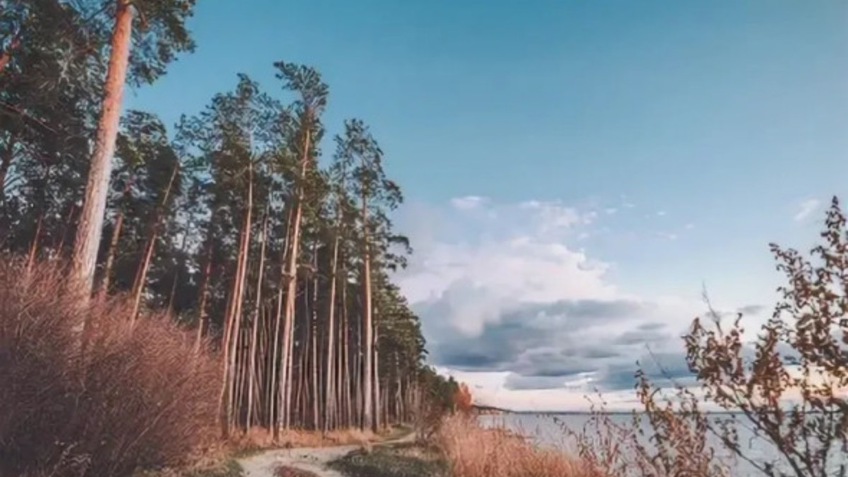 Фото: berdsk.nso.ru
