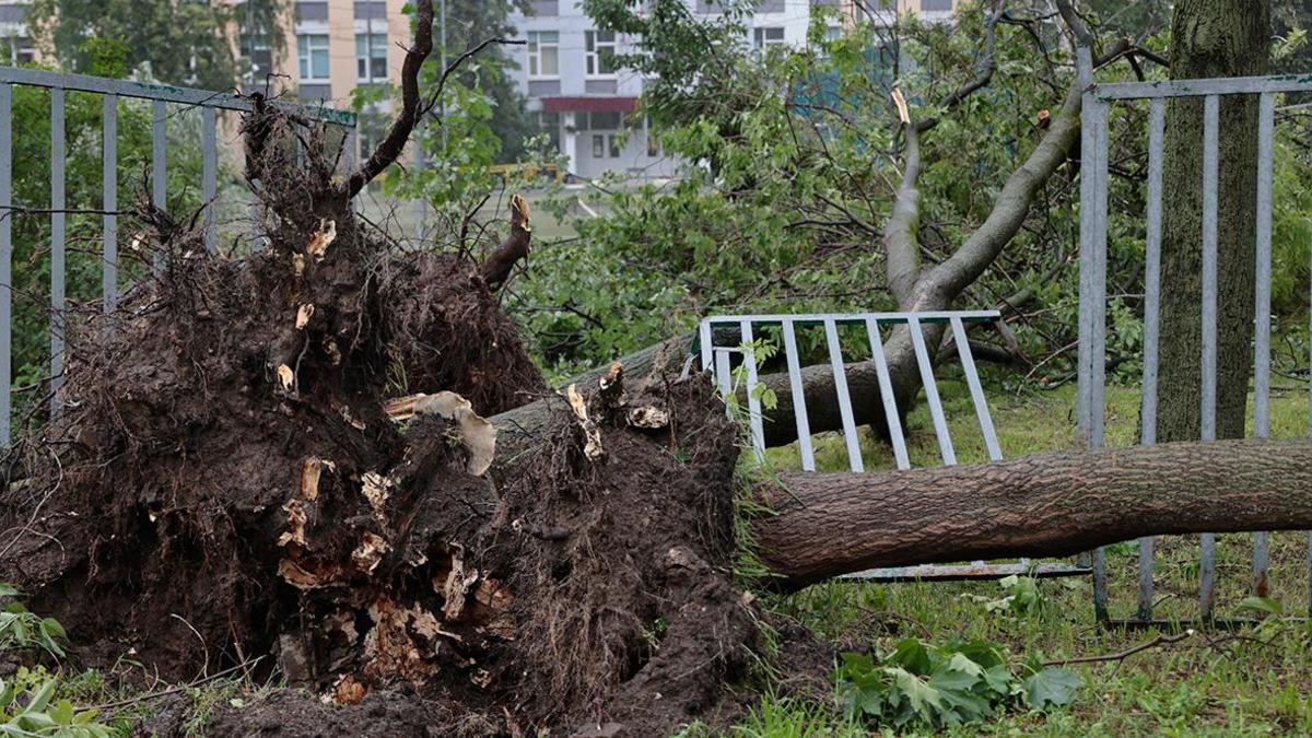 В Москве 18 человек оказались в больницах из-за урагана — РБК