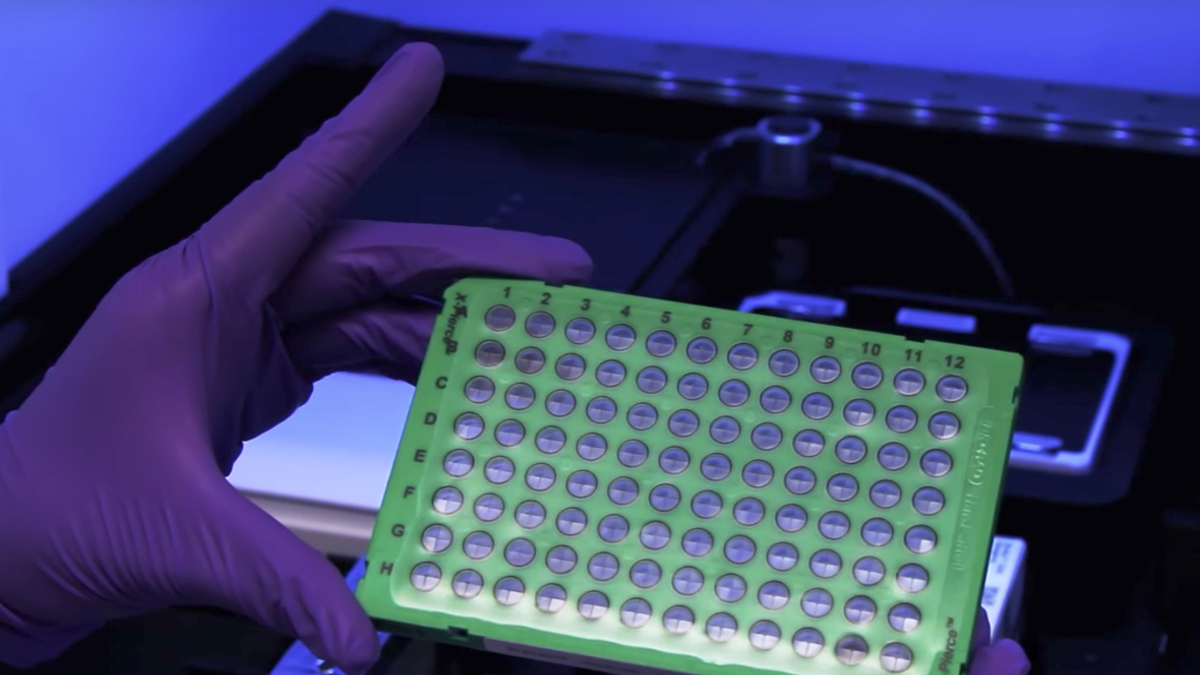 Фото: из архива пресс-службы компании Synthetic Genomics Inc.