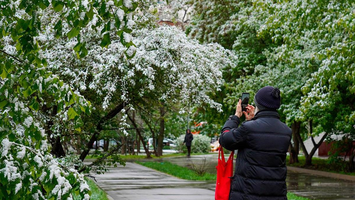 Вильфанд рассказал, сколько будет идти снег в Москве — РБК