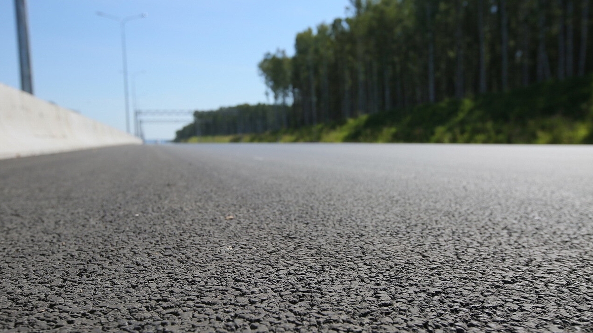 Фото: 66.RU