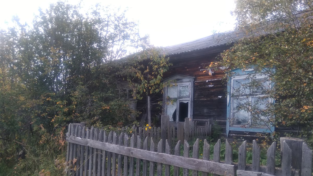 Фото: Алексея Юркина