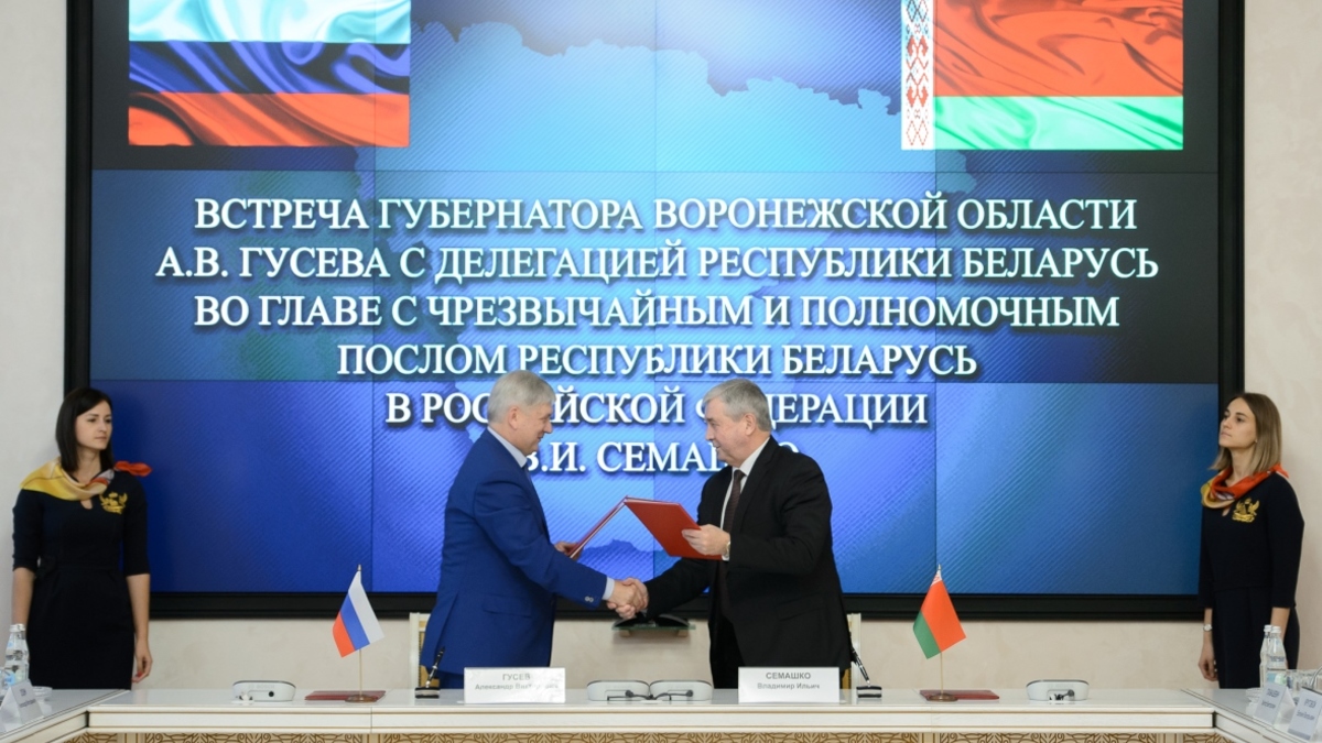 Фото: пресс-служба правительства Воронежской области