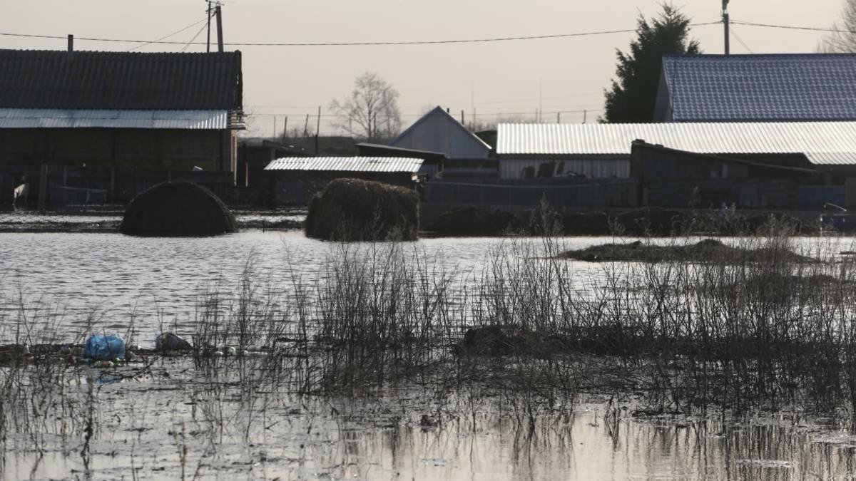 Уровень воды в реке Ишим в Казанском районе составил 842 см на 18 часов 24 апреля