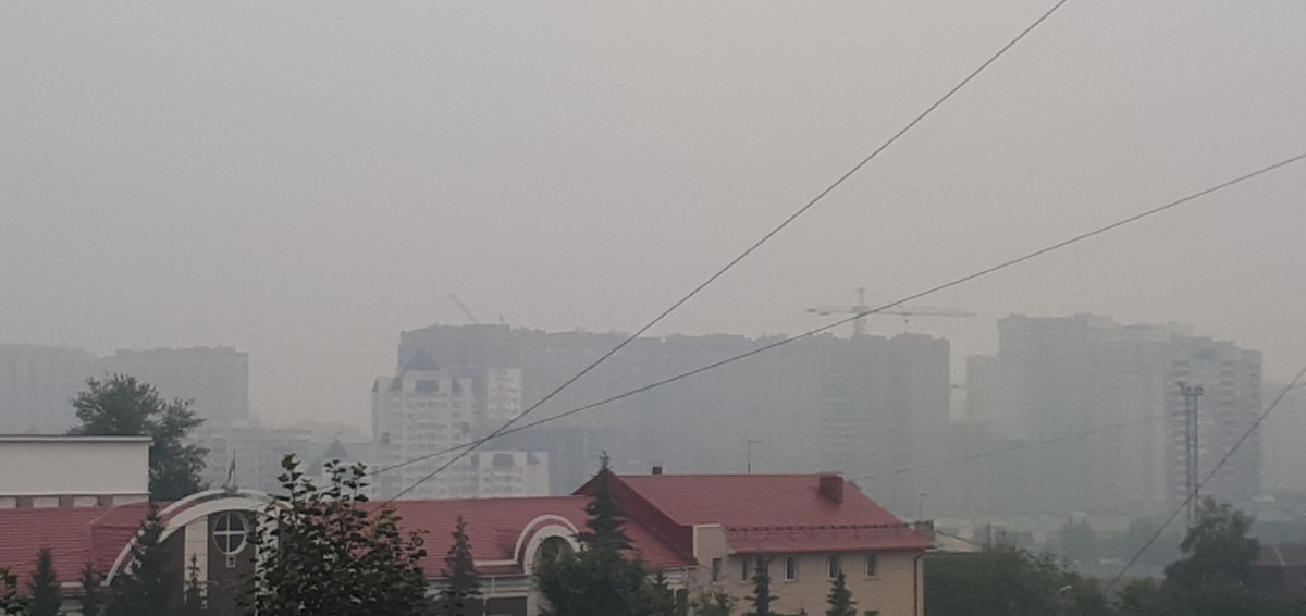 Фото: РБК Новосибирск