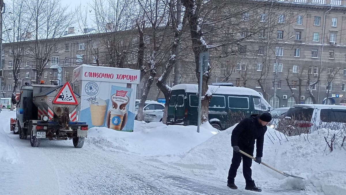 Фото: Алексей Коваленок/РБК Новосибирск