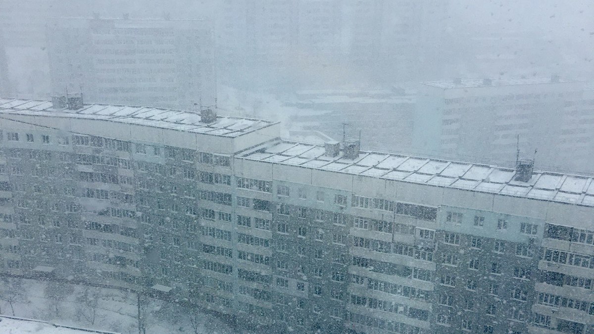 Фото: РБК Приморье
