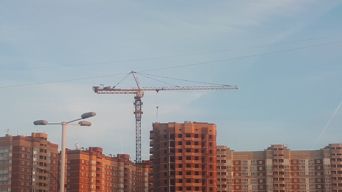 Фото: РБК Новосибирск