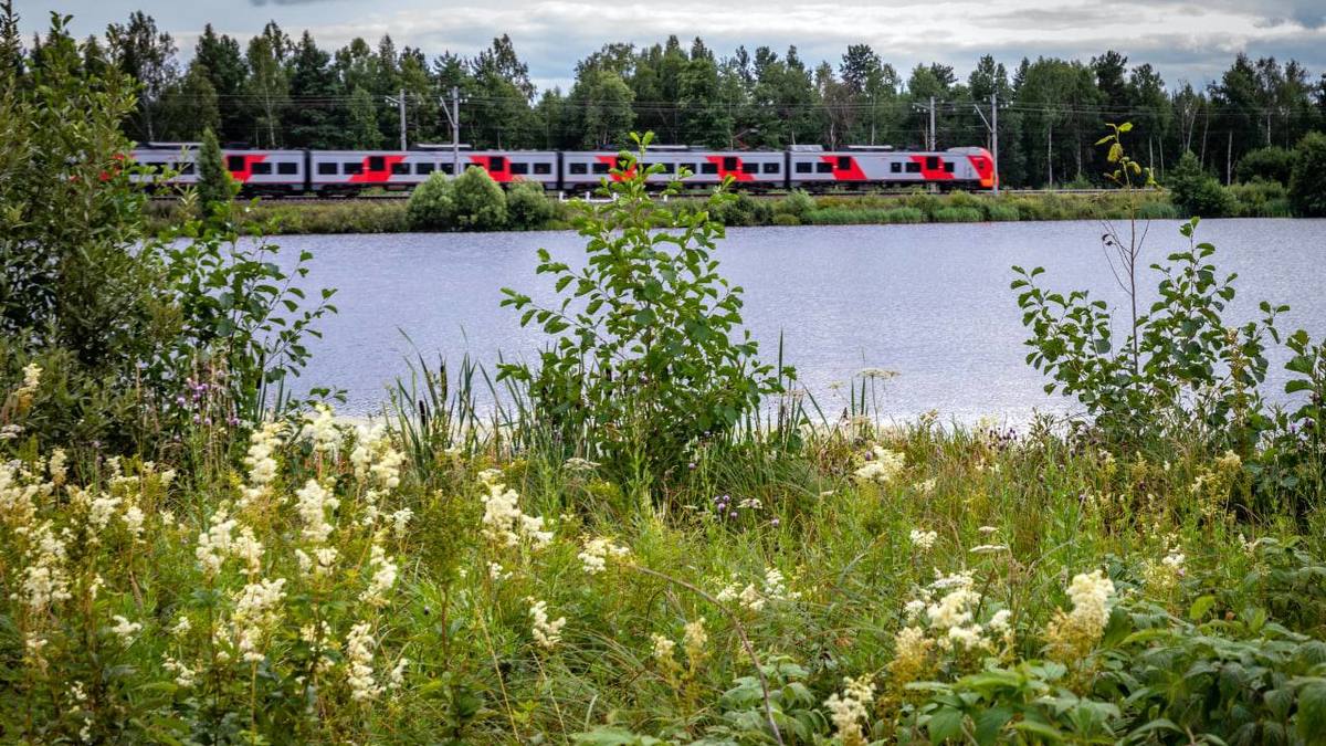 Фото: Пресс-служба ГЖД
