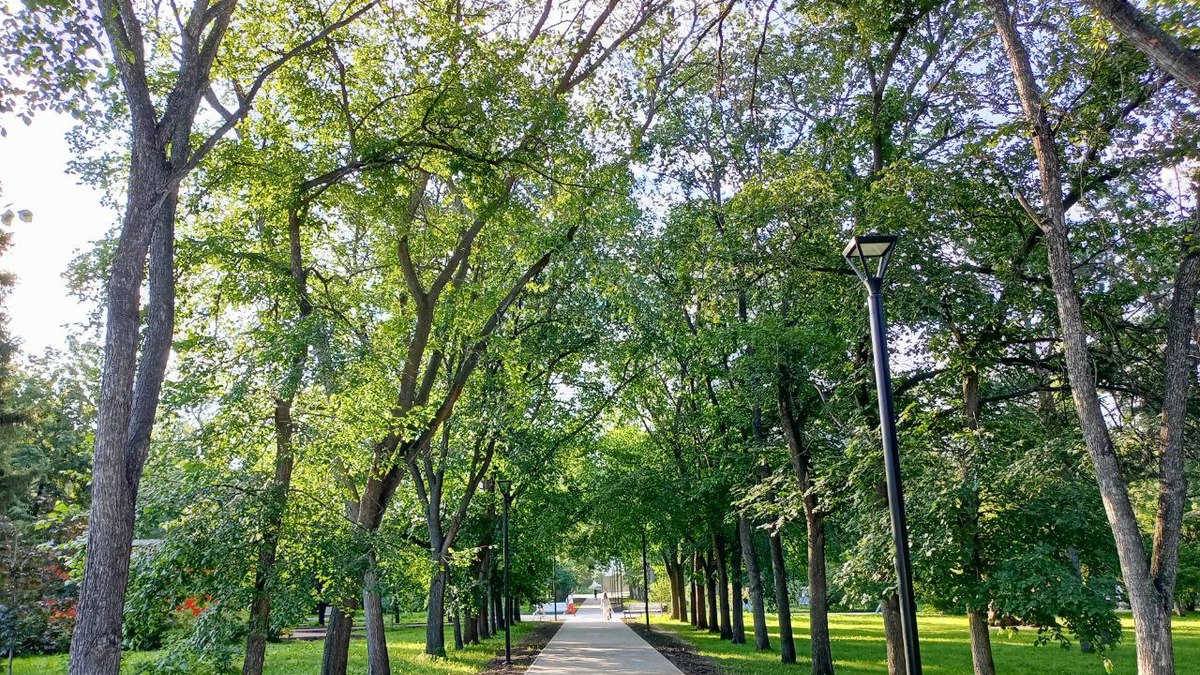 Фото: Алексей Коваленок / РБК Новосибирск