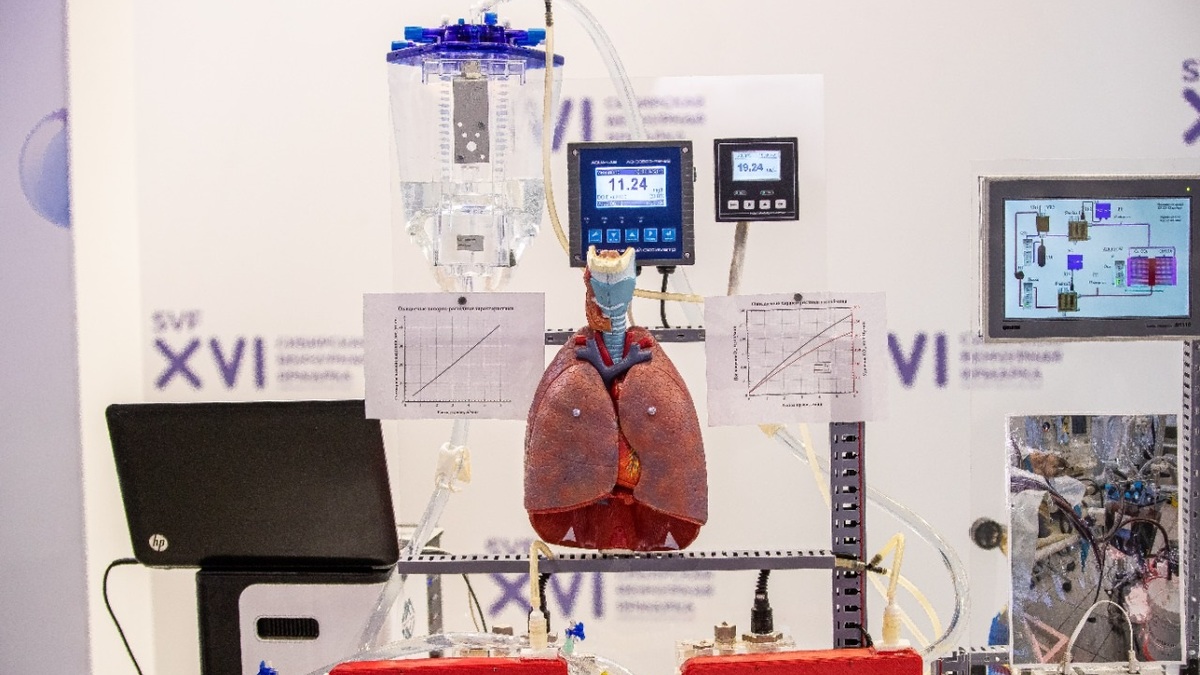 На Сибирской Венчурной Ярмарке победил проект «искусственных легких» — РБК