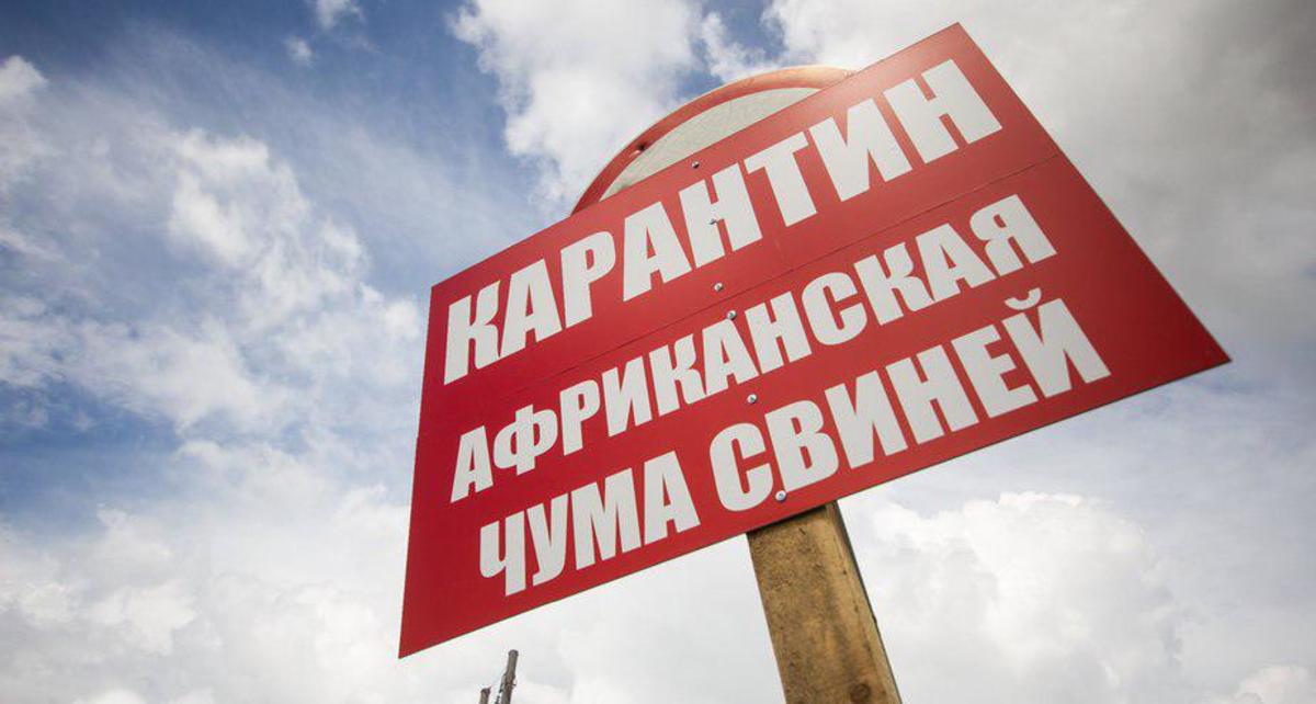 Фото: Александр Подгорчук