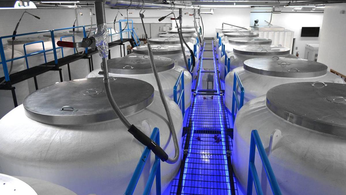 Фото: cryonics.org
