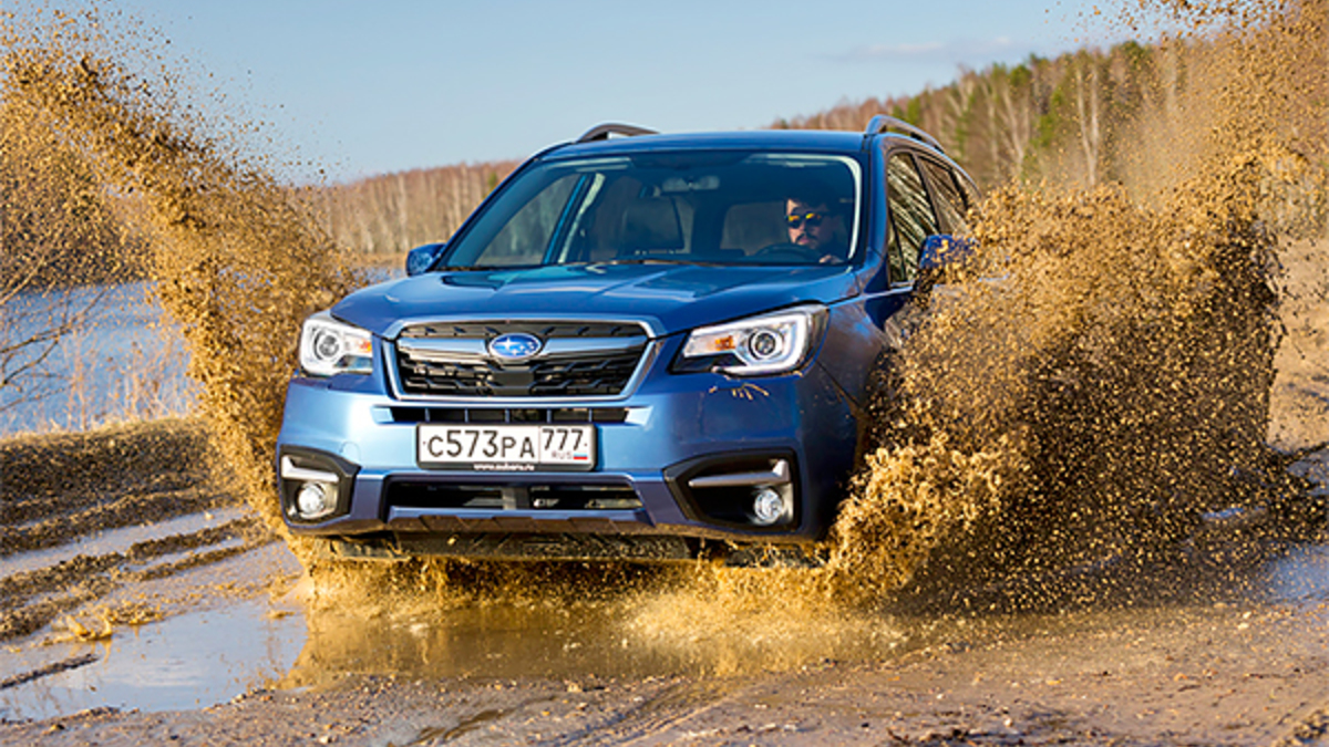 Его лесничество. Тест-драйв Subaru Forester :: Autonews