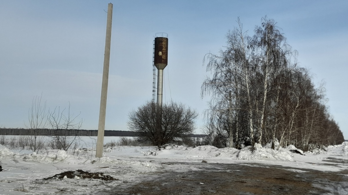 Фото: РБК Черноземье