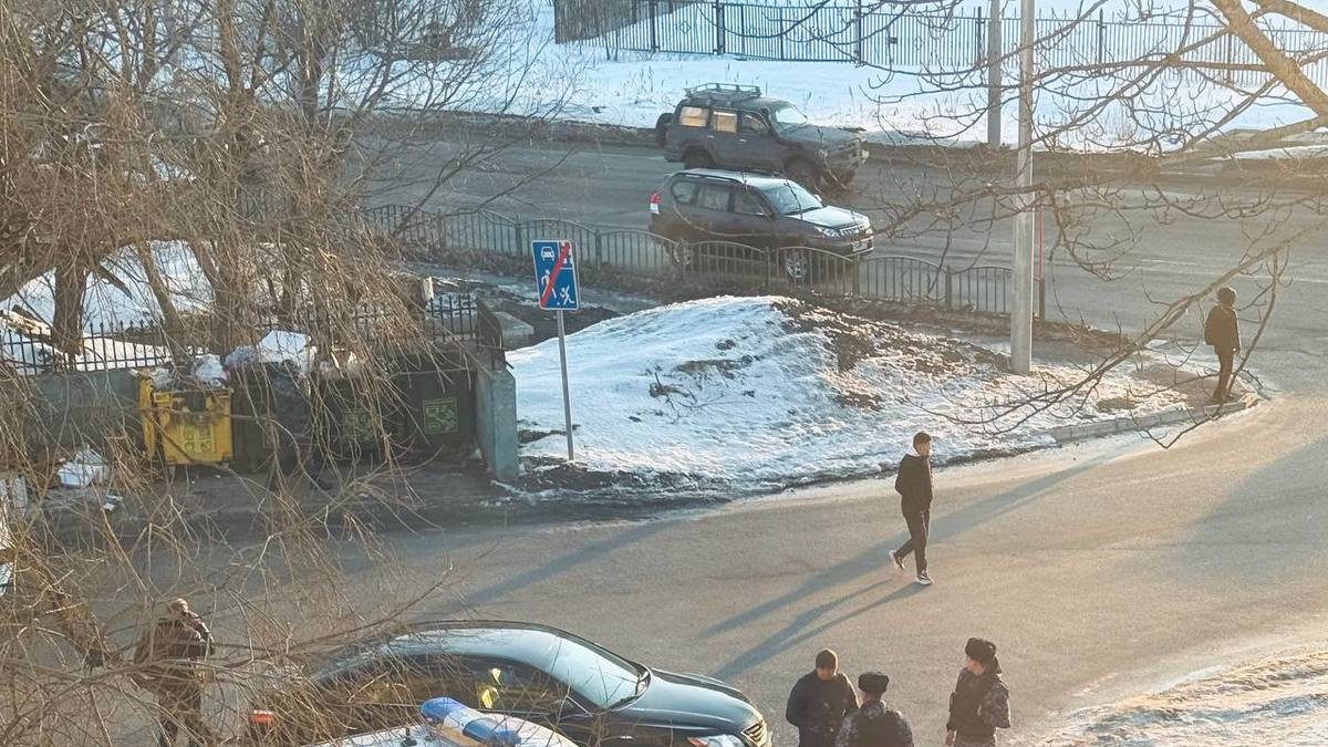 Фото: ЕСМЦ Камчатского края