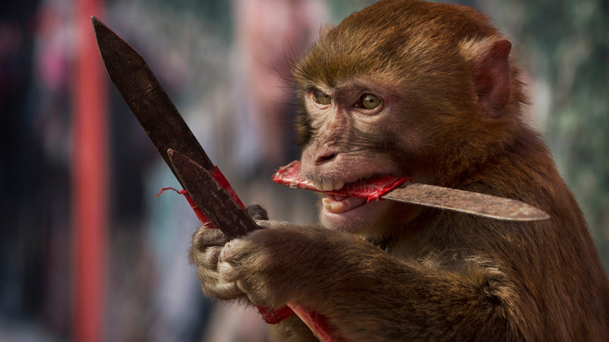Фото: Kevin Frayer / Getty Images