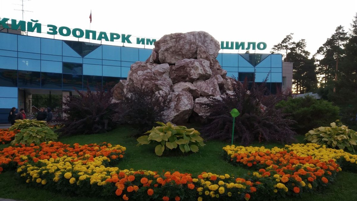 Фото: Алексей Коваленок / РБК Новосибирск