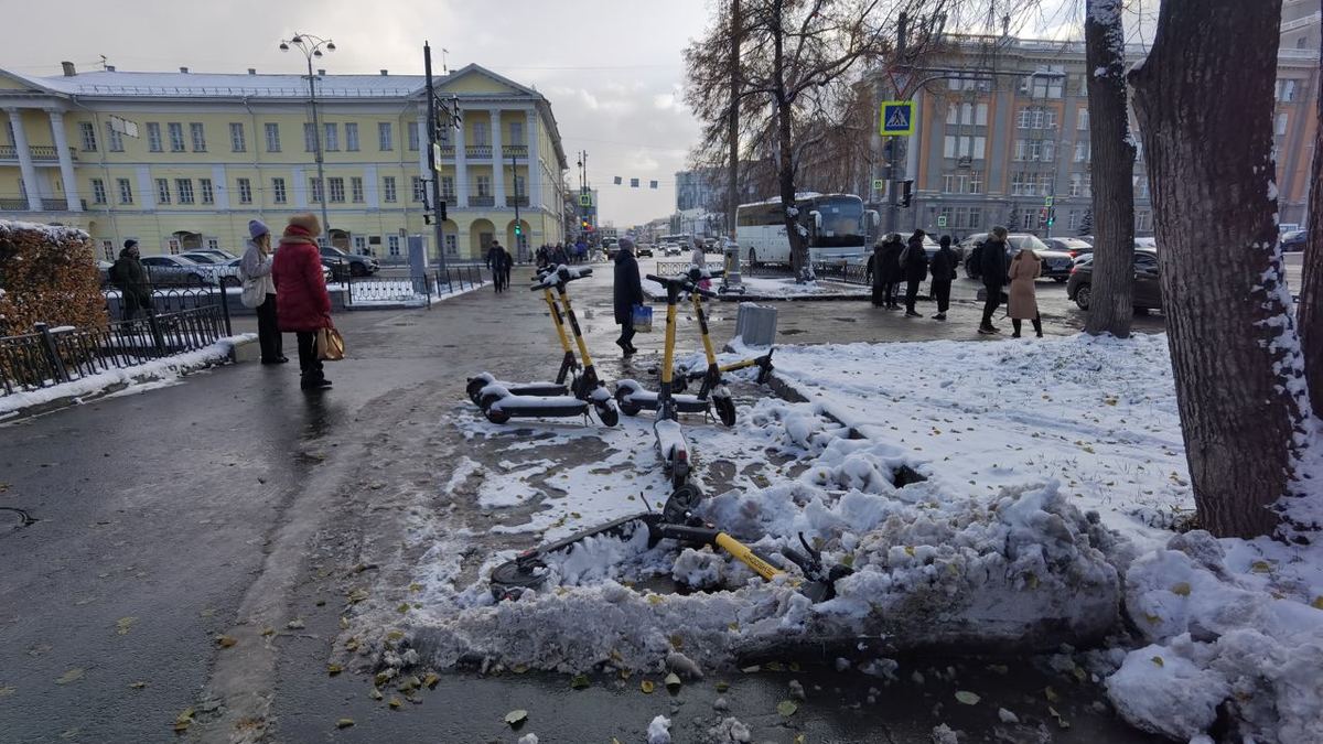 Фото: 66.RU