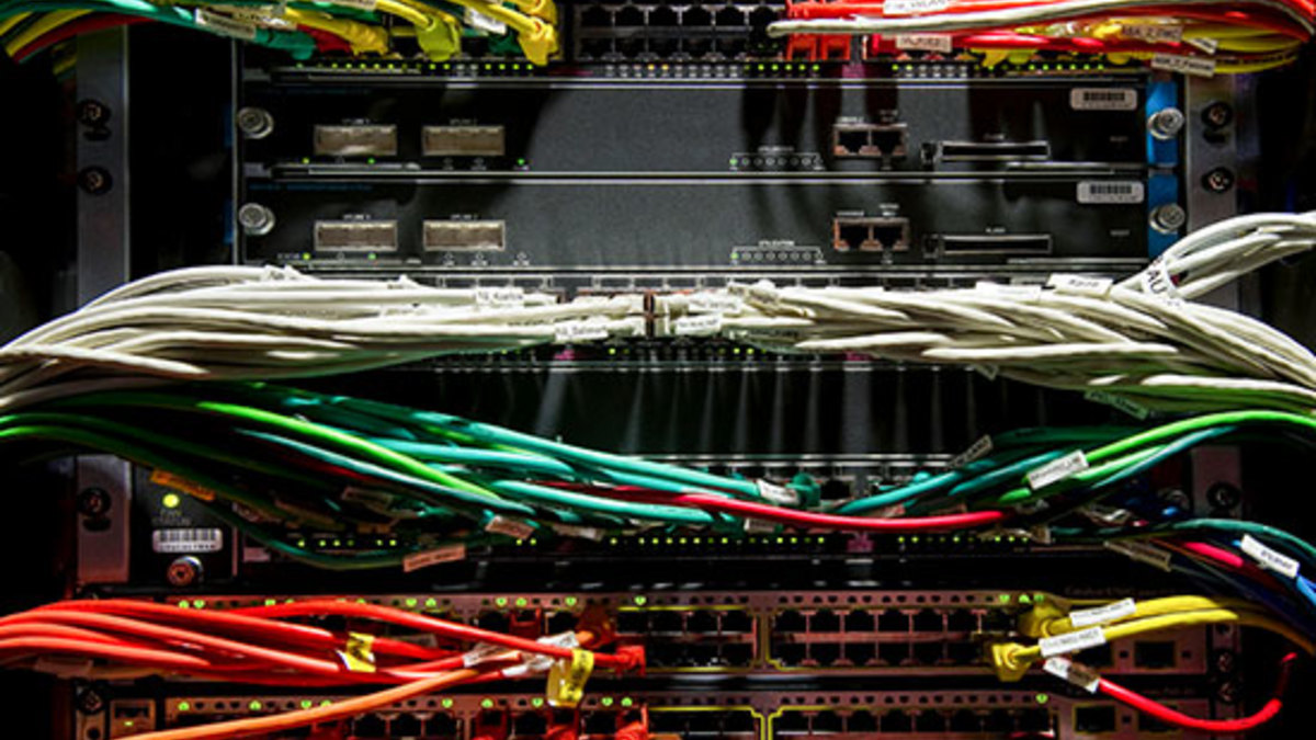 Фото: imagebroker.com / Global Look Press