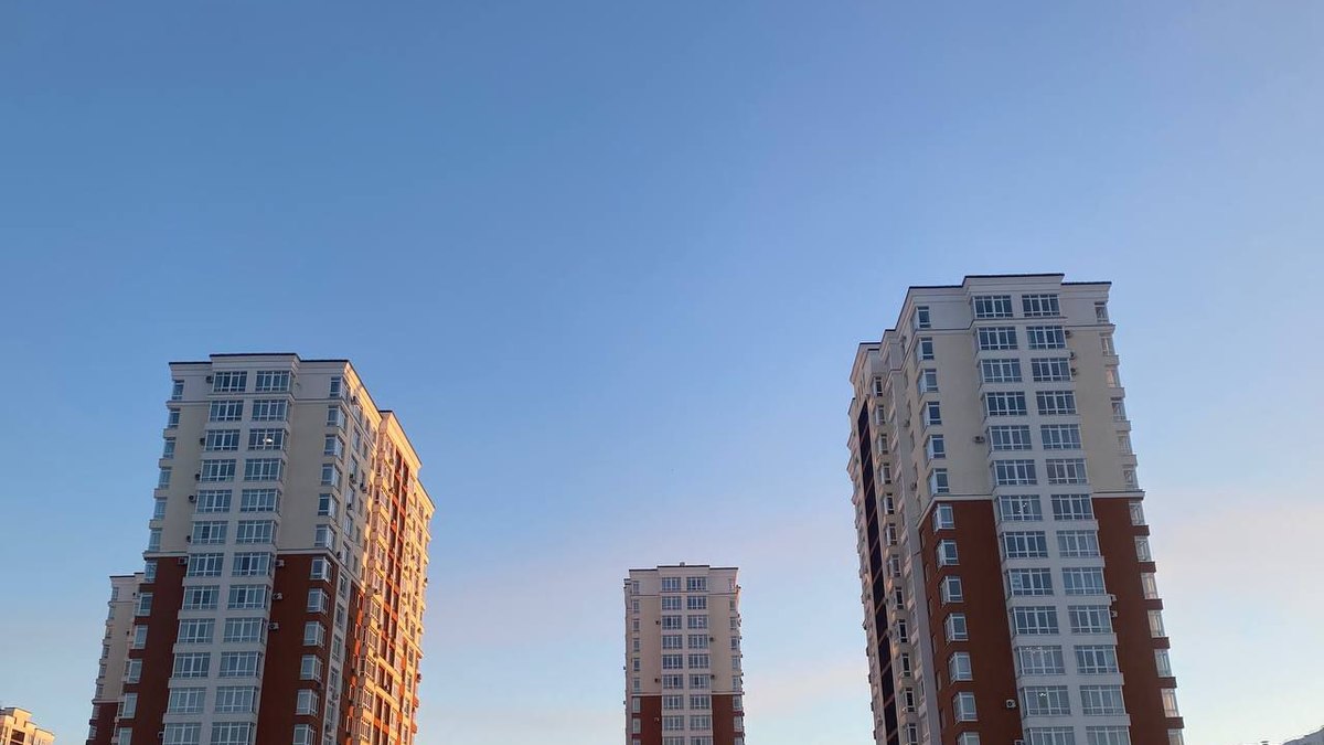 Фото: Алексей Коваленок / РБК Новосибирск