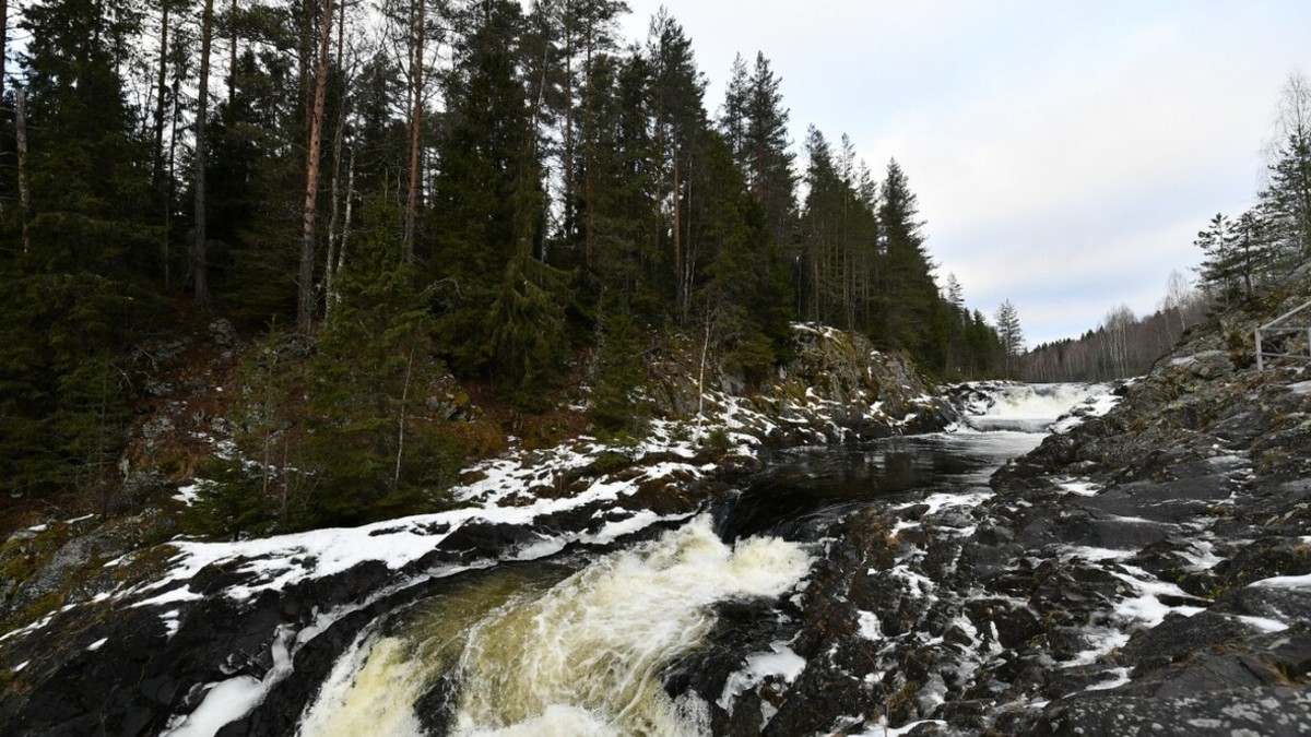 Фото: gov.karelia.ru