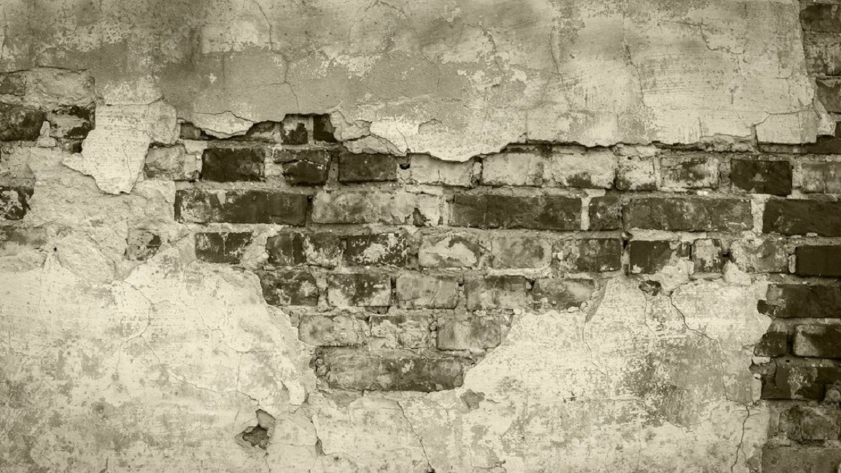 Фото: Freepik