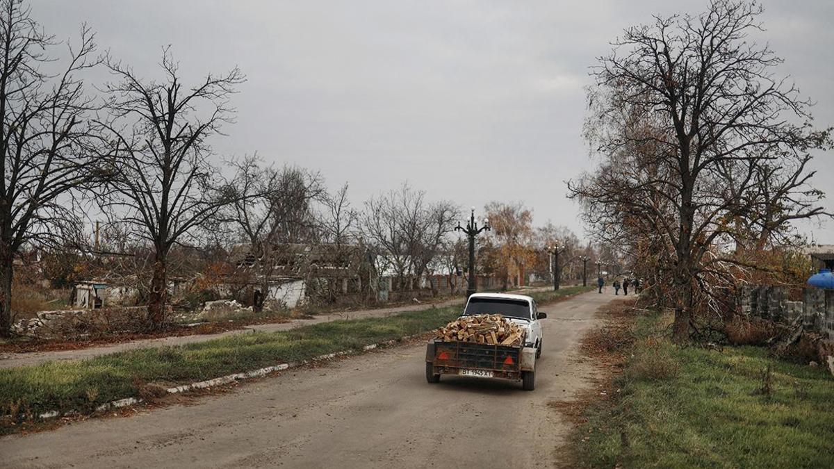 Украина запретила экспорт дров из страны — РБК