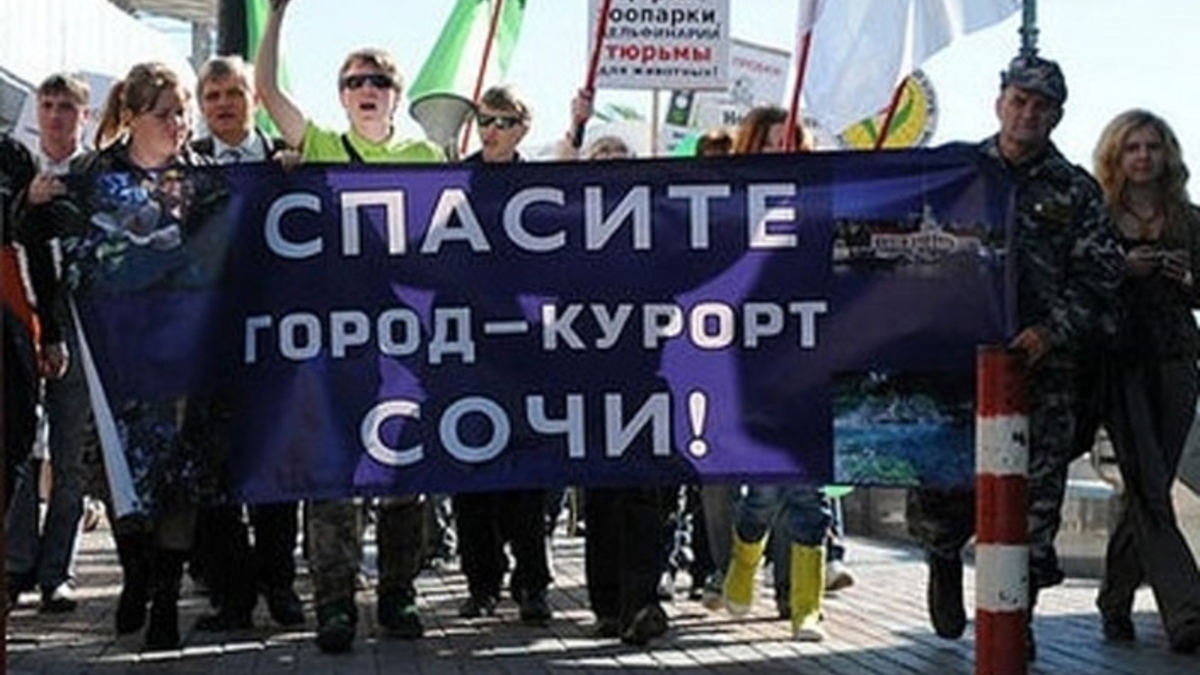 Фото: Фото Андрея Помидоррова, livekuban.ru