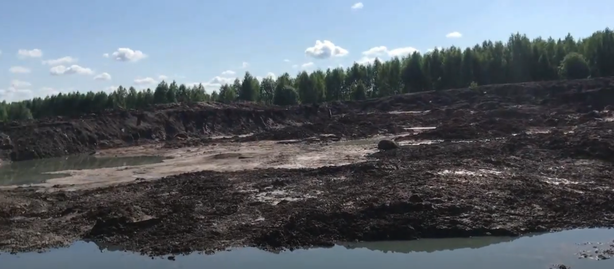 Фото: Альберт Халимов