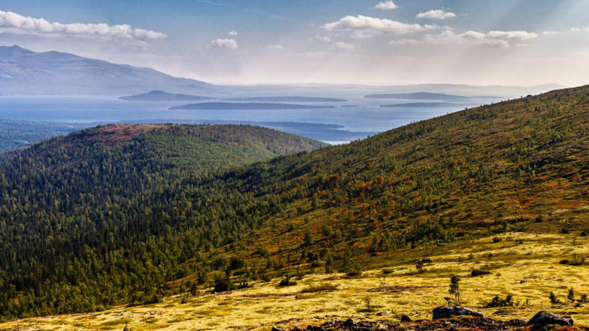 Фото: gov-murman.ru