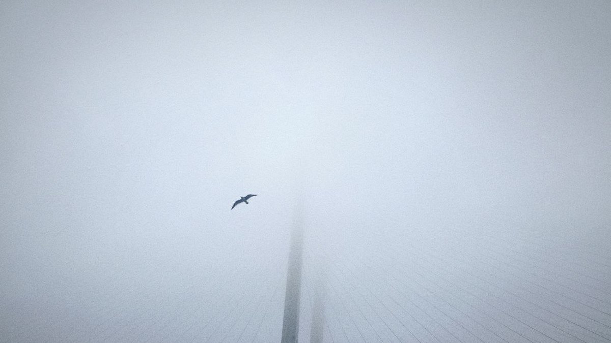 Фото: РБК Приморье