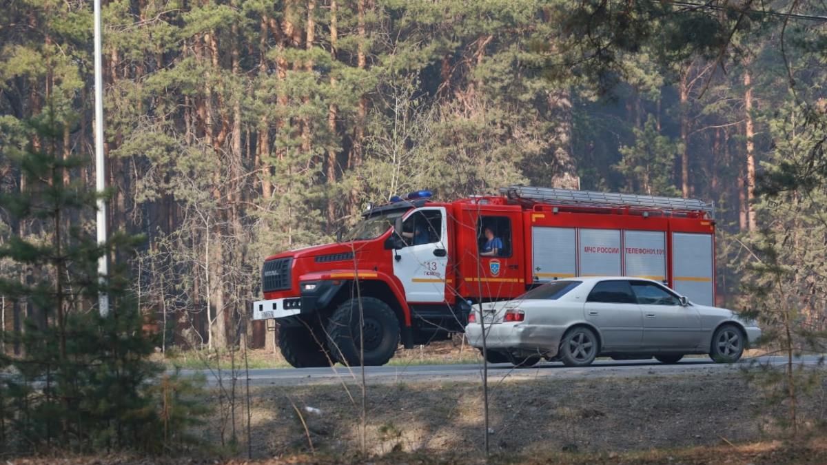 Власти запретили тюменцам ходить в лес и запускать фейерверки — РБК