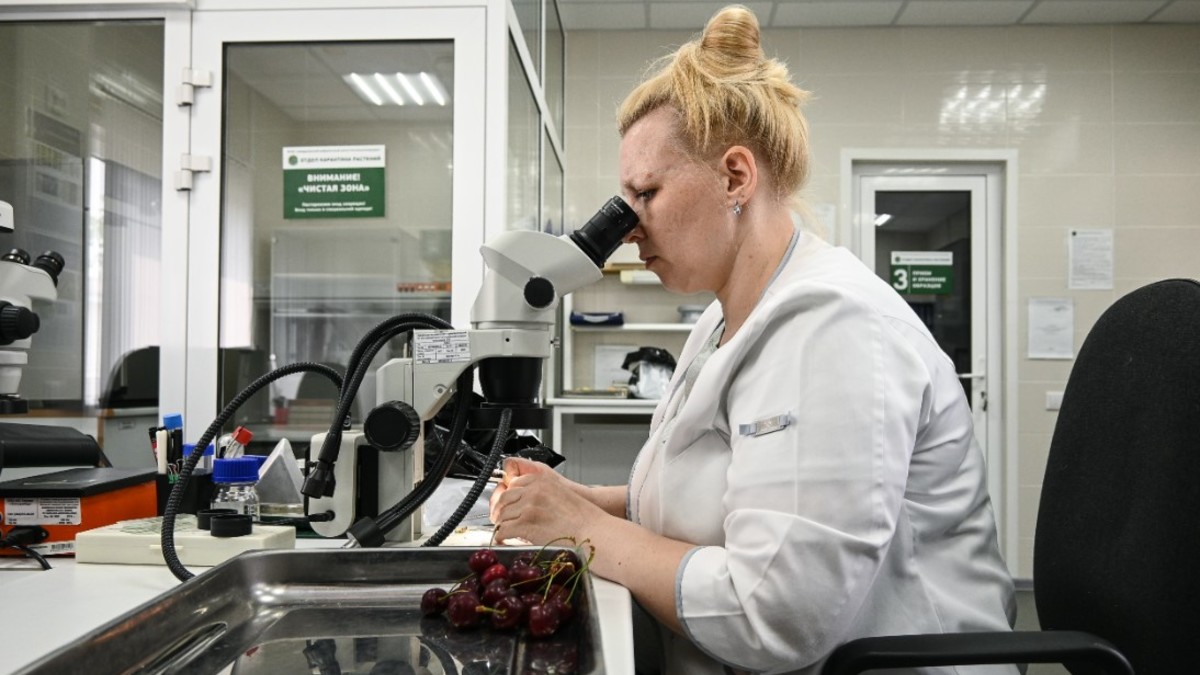 Продукция считается изготовленной из неизвестного сырья, если на нее не были оформлены подтверждающие документы