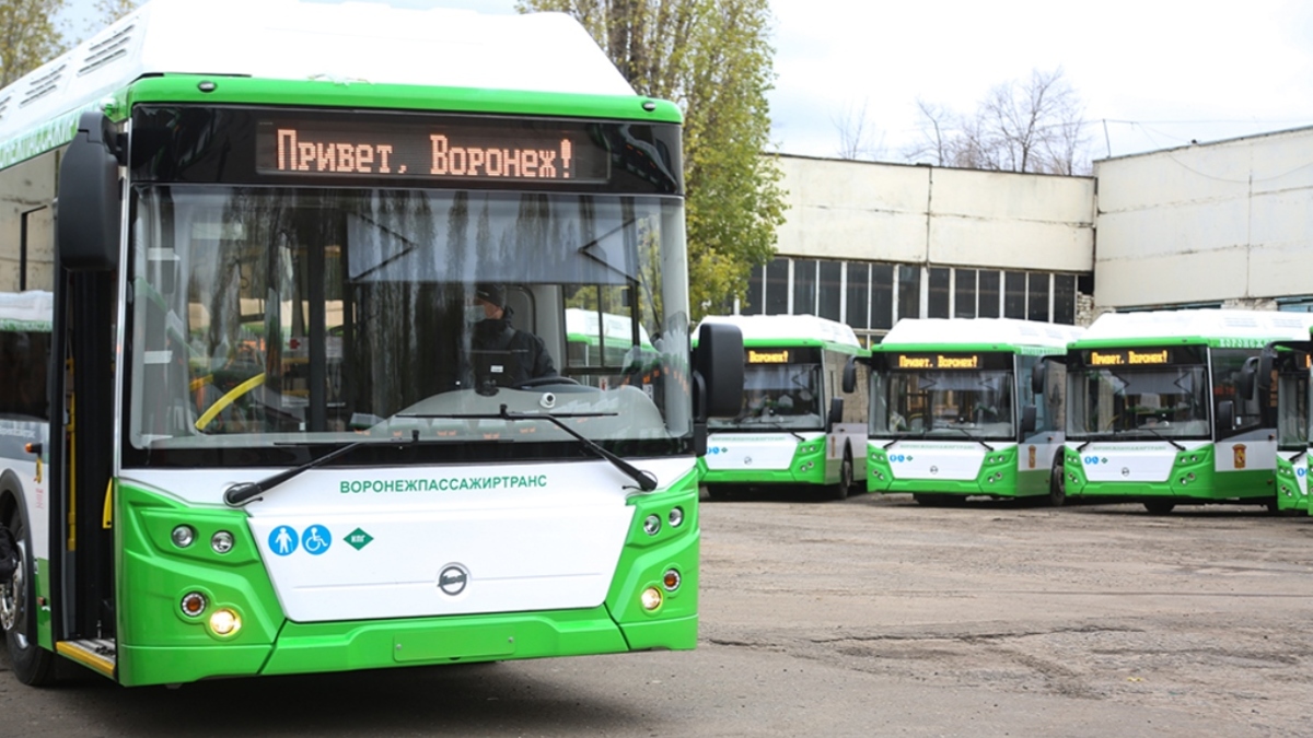 Новые автобусы в Воронеже должны появиться на линии в начале декабря — РБК