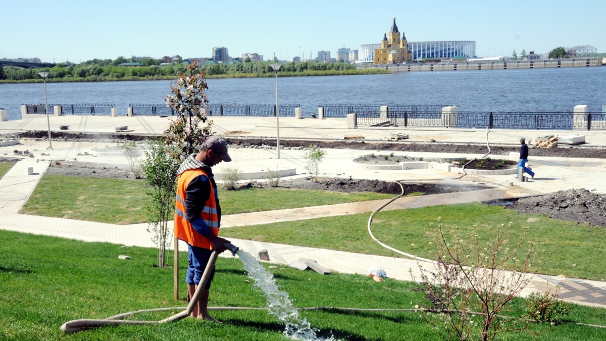 Фото: пресс-служба правительства Нижегородской области