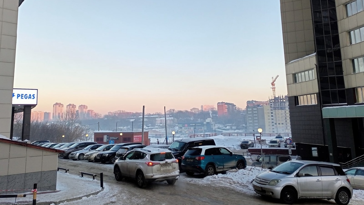 Фото: Алексей Коваленок / РБК Новосибирск 