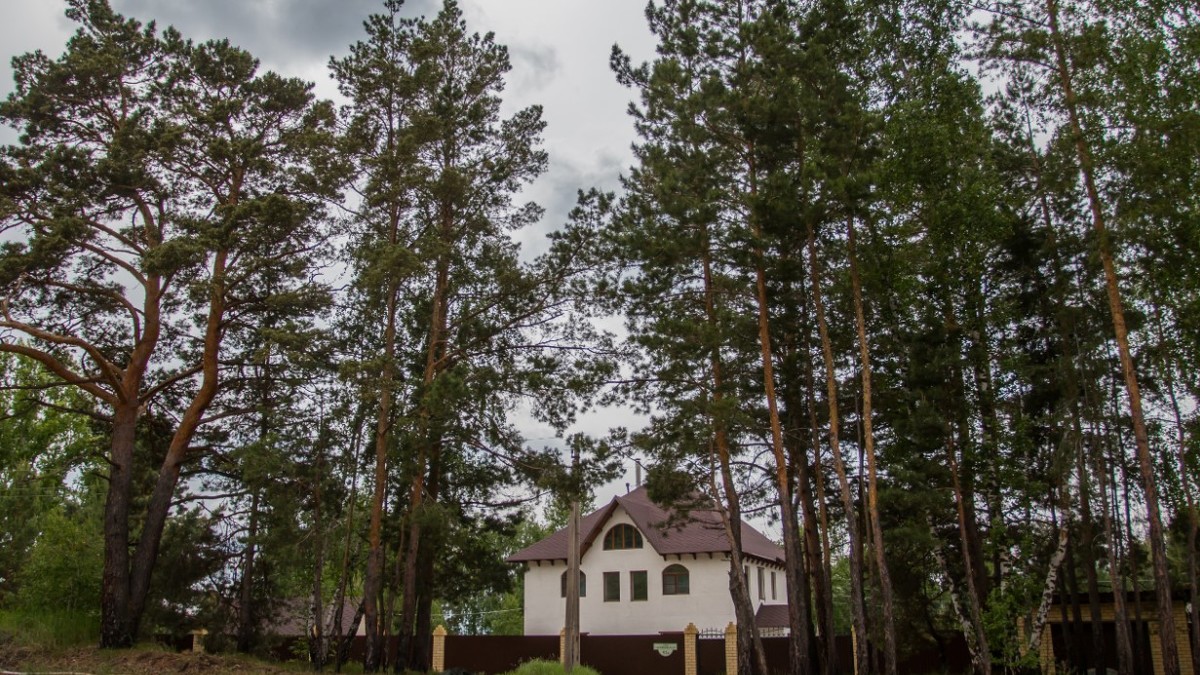 Земельные участки в Тюменской области подорожали сильнее, чем загородные дома