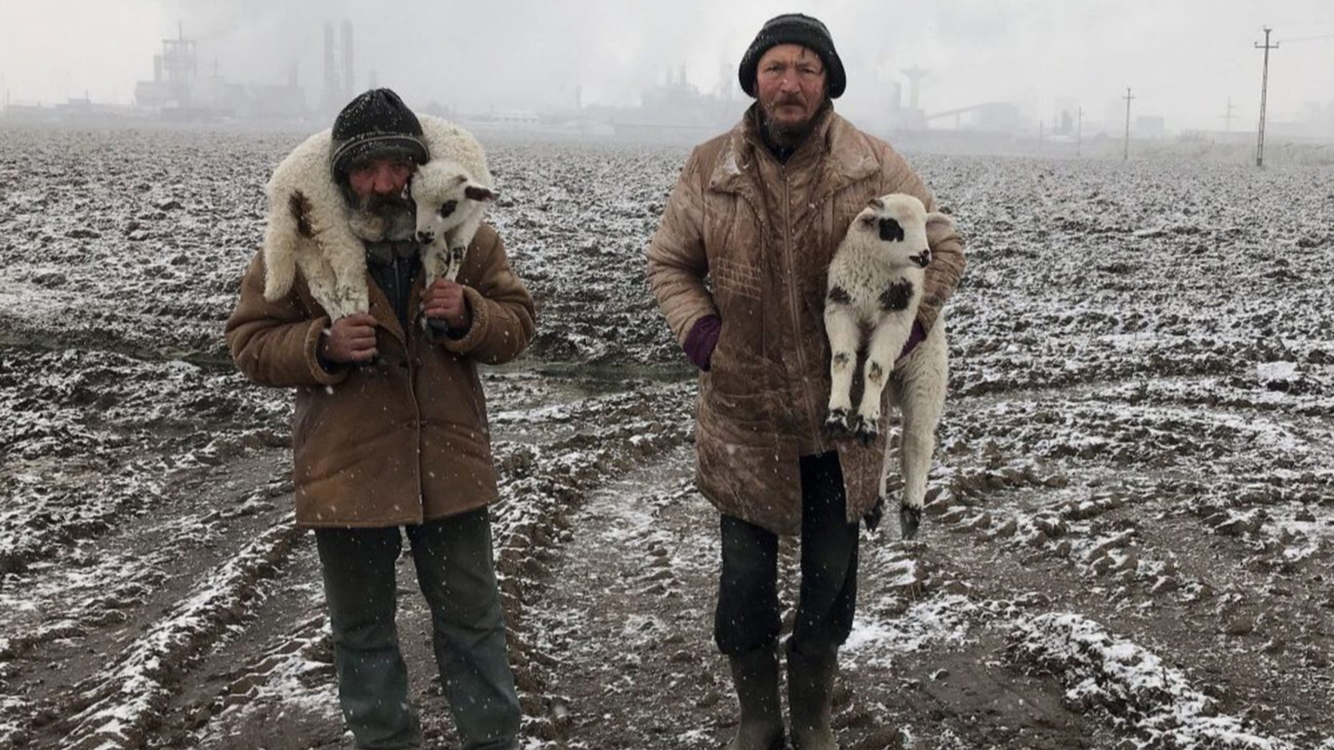 Иштван Керекеш, «Трансильванские пастухи»