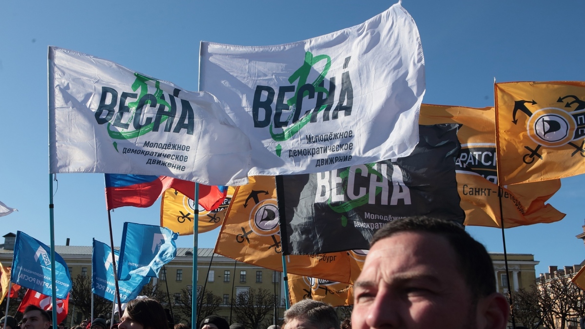 Активистам движения «Весна» предъявлены уголовные обвинения — РБК