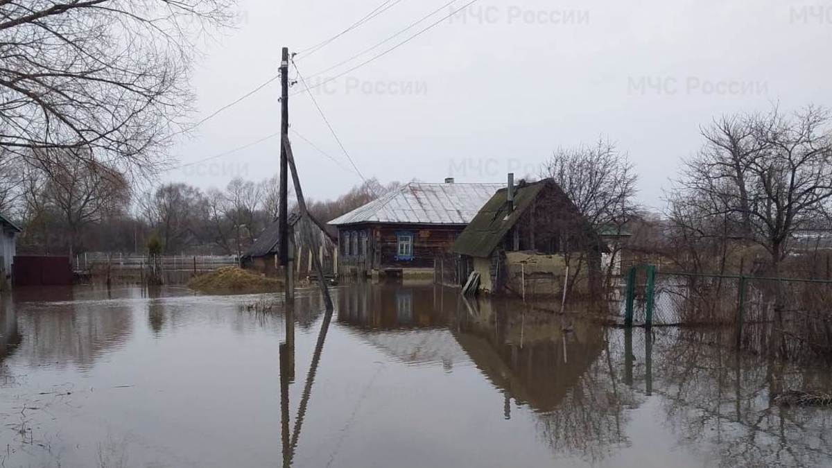 Фото: Пресс-служба ГУ МЧС Нижегородской области