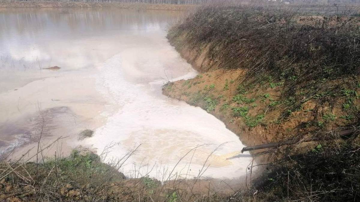 Фото: Управление Росприроднадзора по Нижегородской области и Республике Мордовия