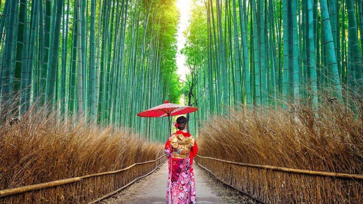 Фото: Freepik