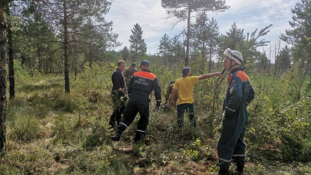 Фото: Телеграм-канал Глеба Никитина