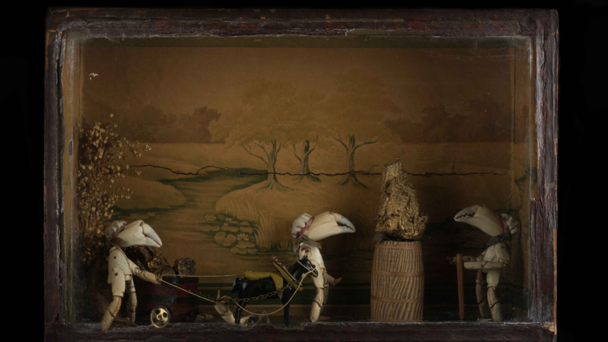 Фото: twitter.com/YorkCastle