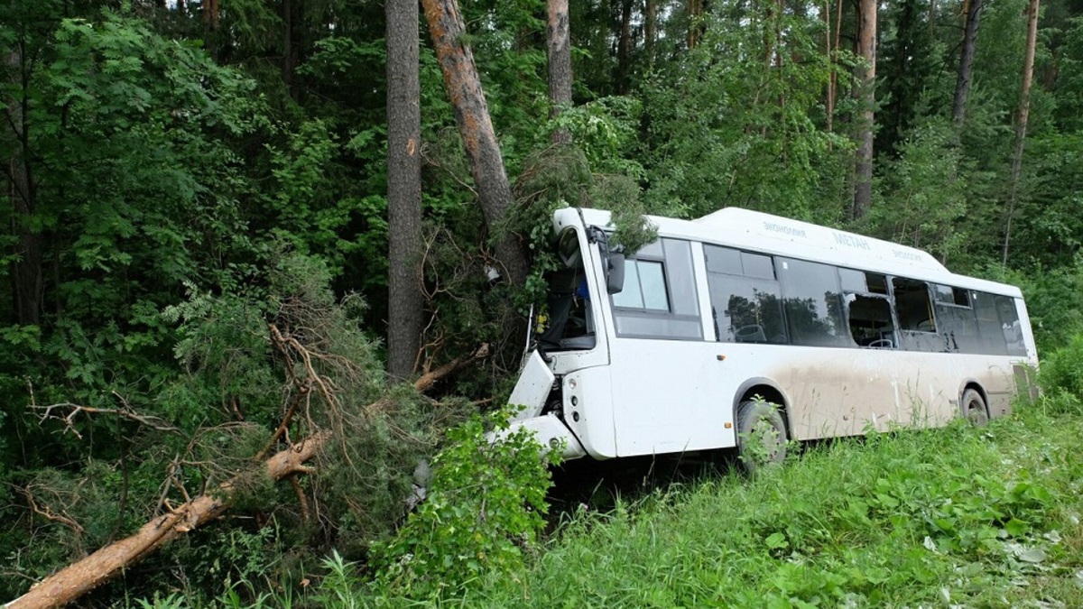 Фото: 59.ru