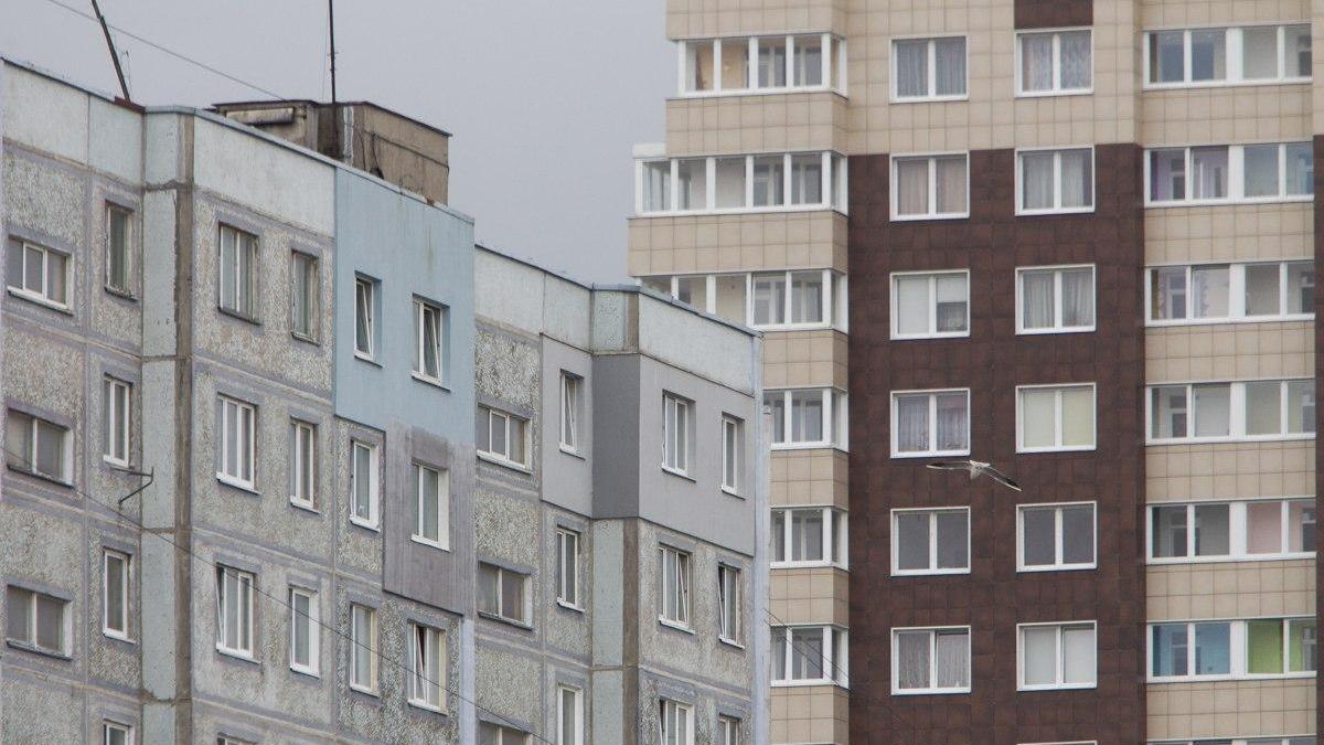 Фото: Александр Подгорчук
